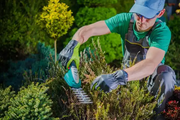 landscaping services Cape Girardeau
